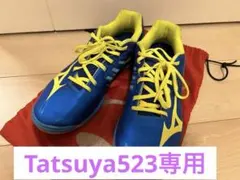 Mizuno Wave Drive 卓球シューズ 青/黄