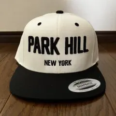 メソッドマン着用 PARK HILL スナップバックキャップ 激レアカラーのサムネイル