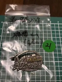 Item thumbnail for item c42f3cbb-789a-4481-9100-b142c03e25ed