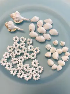 ハンドメイド素材☆　白い貝殻 4種類