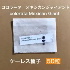 むぎ様 リクエスト 4点 まとめ商品
