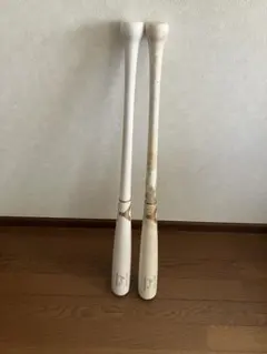 Item thumbnail for item a8114ab4-3994-4789-a5e8-a26f10feefc4