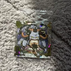 ワンピース大海賊シールウエハース LOG.4 SW4-02 SR カイドウ