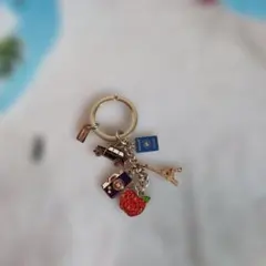COACHの多彩なデザインのキーホルダー