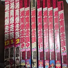 月刊　湘南爆走族　12冊セット 新品未開封 全巻セット 湘南爆走族 コンプリート DVD BOOK