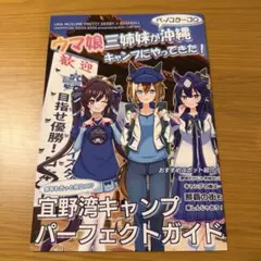 ウマ娘三姉妹が沖縄キャンプにやってきた！ ウマ娘　同人誌
