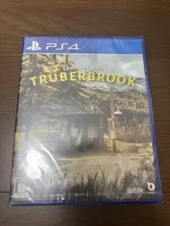 TRUBERBROOK PS4