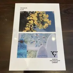 SEVENTEEN CARAT MAGAZINE vol.12