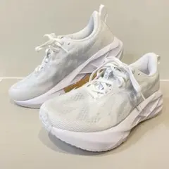 Item thumbnail for item 2236b387-b4cc-42a2-bff8-33bdf6498926