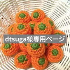 dtsuga様専用ページ