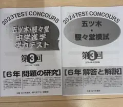 2026年最新】五ツ木駸々堂模試小6の人気アイテム - メルカリ