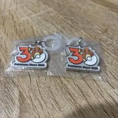 ポケモン 30周年 メタルチャームマスコット ヒトカゲ 2個セット