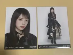 乃木坂46 矢田萌華 スペシャル衣装48 生写真 セミコンプ