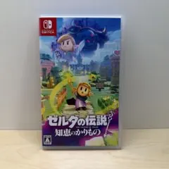 ゼルダの伝説　知恵の借り物のサムネイル