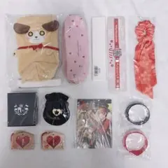 佐野愛花 生誕祭2025グッズ】まとめ売り - メルカリ
