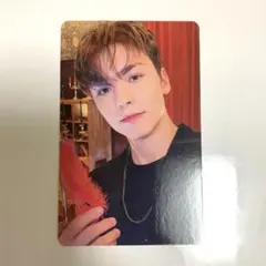 シーグリ 2023 トレカ バーノン