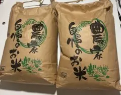 期間限定値下げ‼️農家直送 岩手県令和7年産ひとめぼれ 玄米10キロ