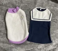 Item thumbnail for item 5d743d7a-5eba-42a4-8572-dad37262ec75