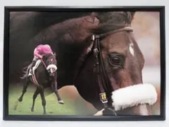 Item thumbnail for item 012fa187-51f5-4d07-b605-e78598159bc3