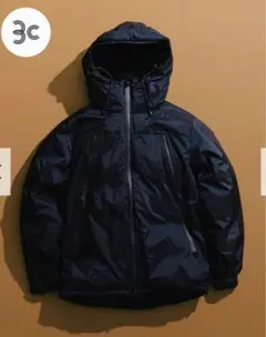 Item thumbnail for item 16350f06-1e18-4f9c-8860-f41a544d9d1e