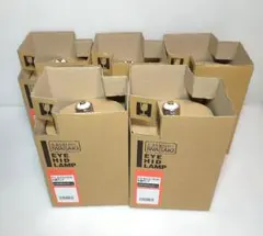 岩崎電気 NHT100SDX 3個ハイラックス2500 未使用 岩崎 ハイラックス 高演色形コンパクトHIDランプ アカリセンター