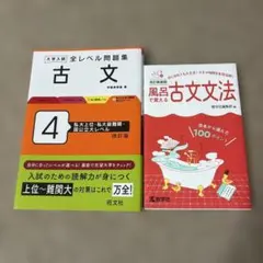 全レベル問題集 古文 レベル4 風呂で覚える古文文法 セット まとめ売り