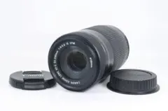 CANON EF-S 55-250 F4-5.6 IS STM 動作確認済み#6のサムネイル