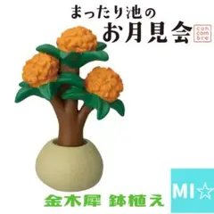 デコレ　コンコンブル　金木犀鉢植え