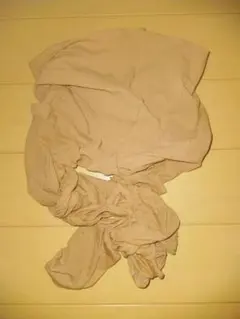 Item thumbnail for item b95267e4-c2c5-428e-bb86-8367fae4c019