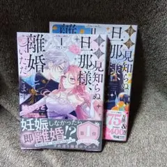 拝啓見知らぬ旦那様、離婚していただきます 1〜2巻　紬いろと　漫画