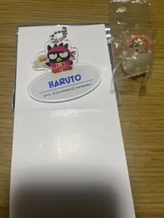 TREASURE アクキー・TRUZ めじるしチャームセット ハルト RURU