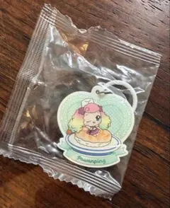 ＊キャッチ！ティニピン アクセサリーチャーム ・ポワンピン＊