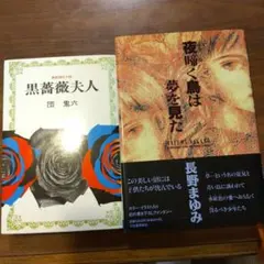 黒薔薇夫人 団鬼六 夜啼く鳥は夢を見た 長野まゆみ 2冊セット綺麗