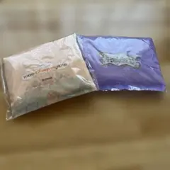 ディズニーランドホテル＆ファンタジースプリングスホテル　エコバッグ