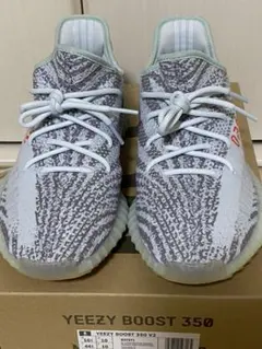 yeezy boost 350v2 blue tint