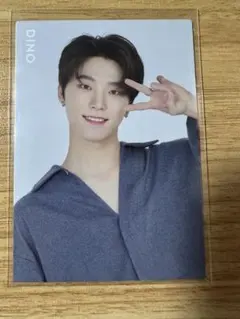 SEVENTEEN DOME TOUR SVT ディノ　トレカ