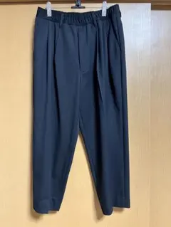 a*s様 COMME des GARCONS HOMME PLUS 2タックパン - メルカリ