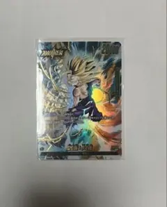 孫悟飯　リーダー　パラレル