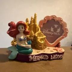 リトルマーメイド　アリエル　マーメイドラグーン　写真立て