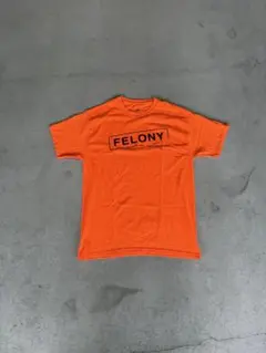 HANES orange felony skateboards teeのサムネイル