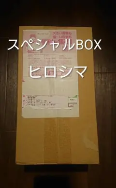 ポケモンセンター　スペシャルBOX 　ヒロシマ 1個　ギャラドス