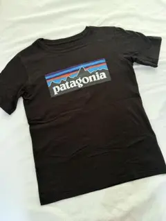 Patagonia パタゴニア Tシャツ ブラック ピチTのサムネイル