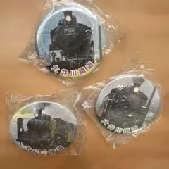 大井川鐵道 蒸気機関車絵皿 2枚セット - メルカリ