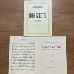 ドニゼッティ ソナタ フルート楽譜 Edition Peters版
