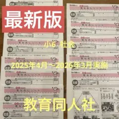 最新版 2025年度 小6 社会 カラーテスト解答 教育同人社 (15枚)のサムネイル