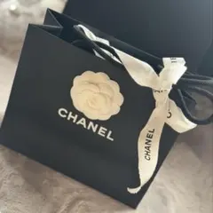 CHANEL ショップ袋 カメリアロゴ付き