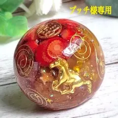 プッチ様専用ページです♥️