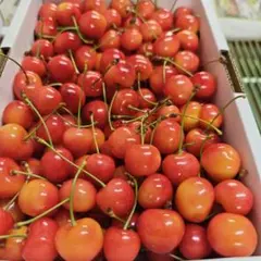 ３０日ーT　　加工用　紅秀峰　１ｋｇ　過熟気味のサムネイル