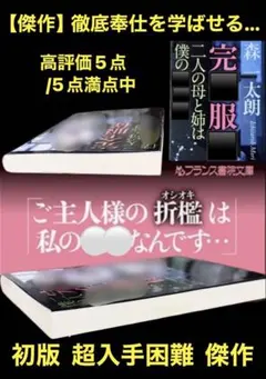 希少【傑作】銀行シリーズ 御堂乱 超入手困難 高評価5点／5点満点中