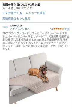 Item thumbnail for item 6232617c-3ead-40c0-9740-f38f8b611e5e